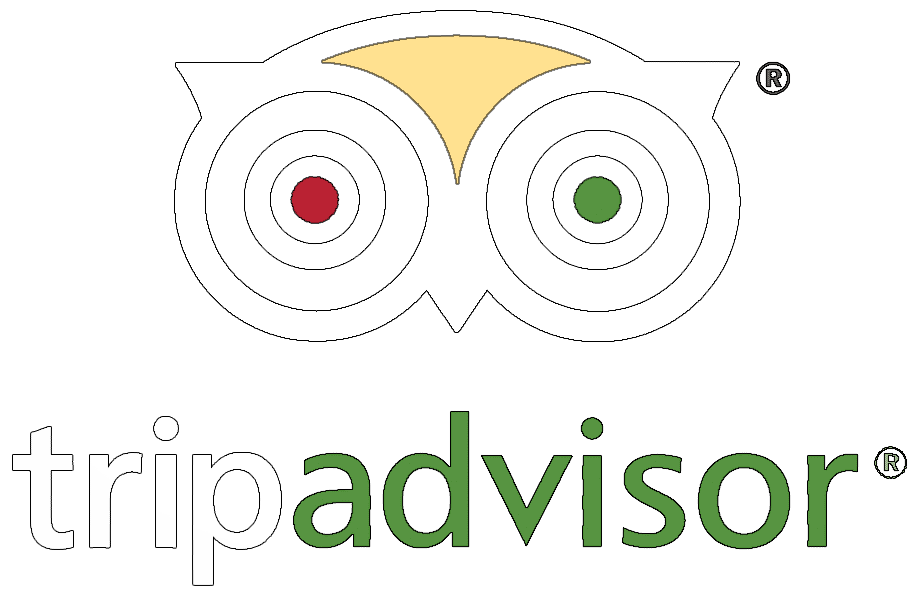 Trip Advisor Logo